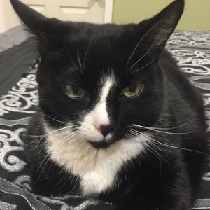 Meet your Posher, Meghan